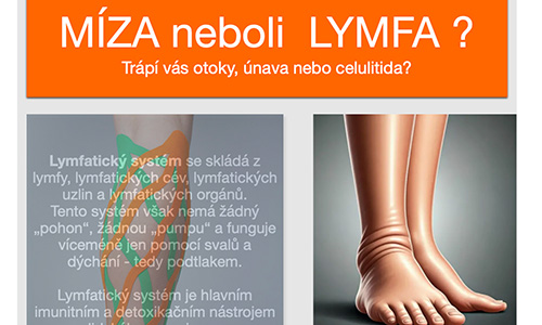 Míza neboli lymfa